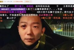 北京王哥爆料视频大全集,揭秘京城风云录