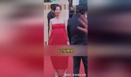 完美婆娘大姐爆料视频在线观看,揭秘背后惊人真相