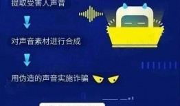 诈骗案爆料流程视频大全,揭秘网络诈骗揭秘与举报全攻略