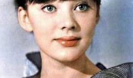 视频在线观看片,XX主题深度解析