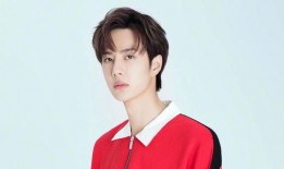 娱乐大爆料最新爆料,独家揭秘明星幕后故事，精彩瞬间尽收眼底！