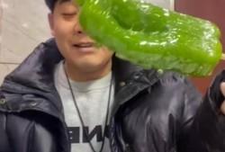 网红刘二萌吃瓜视频在线,揭秘网红圈幕后故事