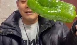 网红刘二萌吃瓜视频在线,揭秘网红圈幕后故事