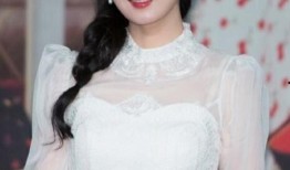 甄锡爆料模式视频,揭秘爆款视频背后的爆料模式