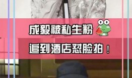 剧组人员爆料成毅视频,剧组人员揭秘拍摄幕后点滴