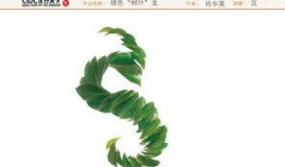 树叶最新爆料文案,揭秘娱乐圈不为人知的秘密