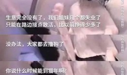 小狗情人爆料视频大全,视频大全揭秘萌宠生活点滴