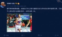 8月赛季最新爆料视频,精彩瞬间与战术解析