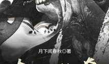 大帅传奇在线观看,风云变幻的民国风云录