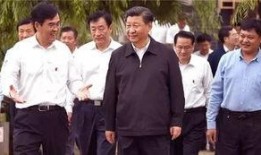 老汪爆料杨振华视频全集,老汪爆料视频全集深度解析