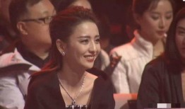 外网爆料陈思诚视频,揭秘娱乐圈背后的真相