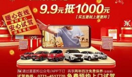 南宁鹏宝最新爆料,揭秘鹏宝未来发展新动向