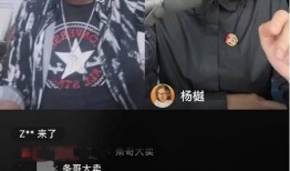 爆料睢宁船长事件视频播放,真相与争议交织