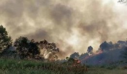 网友爆料莲花山的视频播放,网友惊叹如画仙境