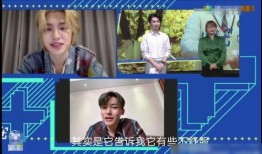 爆料侯明昊害羞视频大全,甜蜜笑容与青涩互动