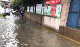 解放路学校爆料案件最新,真相大白，正义终将抵达”
