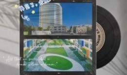 合肥加油爆料视频最新版,揭秘城市新动态与热点事件