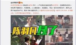 王艺纯个人爆料视频完整版,真实事件背后的惊人真相