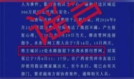 法治头条爆料案例最新视频,最新案例视频深度解析，揭秘法律背后的故事