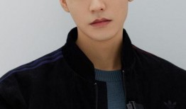 爆料娱乐圈龚俊图片,娱乐圈风云再起，真相背后引人深思