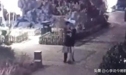 吃瓜比赛视频完整版免费观看,揭秘吃瓜比赛视频完整版免费观看的精彩瞬间