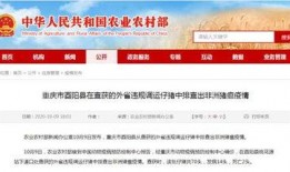 竹山农香最新爆料新闻报道