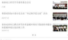 河池新闻视频爆料,揭秘当地热点事件背后的真相