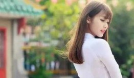 越南小安爆料视频大全,揭秘热点事件与幕后真相