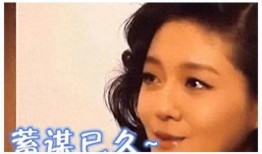 新疆娱乐圈爆料事件真相,揭开神秘面纱背后的真相