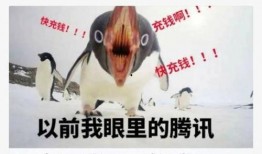 爆料人笑出鹅叫声视频在线观看