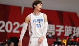 王哲林爆料视频大全下载,揭秘篮球巨星背后的故事