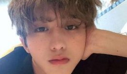 娱乐吃瓜酱程序员,揭秘编程界的趣味与智慧