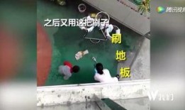 湖北爆料事件视频播放全集,视频全集揭秘惊人真相
