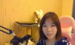 冲哥爆料鲛鱼妹儿视频,鲛鱼妹儿视频背后的惊人真相
