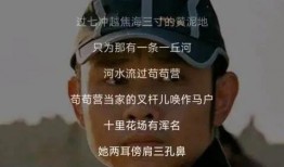 罗刹海市最新爆料信息