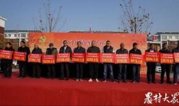 稷山县新闻爆料事件视频,视频揭露惊人事件，真相令人震惊！