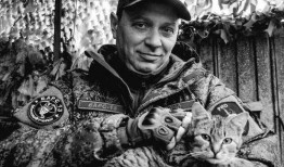 雪豹英雄在线观看,在线观看，揭秘神秘雪域传奇