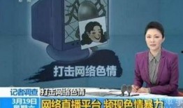 直播造小孩在线观看,揭秘网络直播下的育儿新趋势