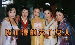 八妻子八妻子在线观看,穿越时空的八位佳人传奇在线观看之旅