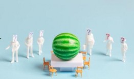 吃瓜爆料最新PPT,揭秘娱乐圈最新热点事件