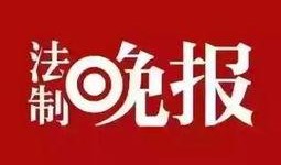 沈阳爆料最新新闻头条号,聚焦城市热点事件追踪