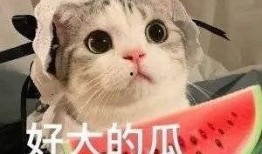 跪着吃瓜网红,网红新姿势引发网友热议