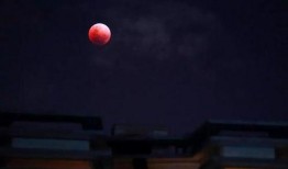 血色月亮在线观看,神秘月夜惊悚悬疑大揭秘