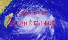 最新爆料台风视频在线观看,惊心动魄的气象奇观实时呈现
