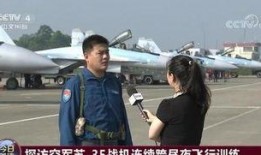 武汉飞行员爆料视频大全,揭秘飞行幕后故事