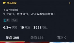 抖音官方爆料新闻,揭秘短视频平台背后的秘密与未来趋势