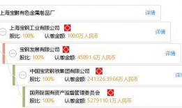 南宁鹏宝最新爆料,揭秘鹏宝未来发展新动向