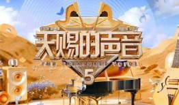娱乐爆料用的声音是什么,揭秘娱乐圈独家爆料背后的神秘声音