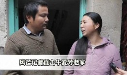 网友牛小姐爆料视频,揭秘事件背后惊人真相