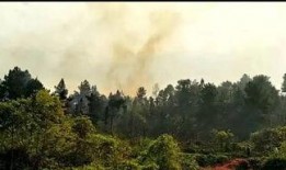 网友爆料莲花山的视频播放,网友惊叹如画仙境